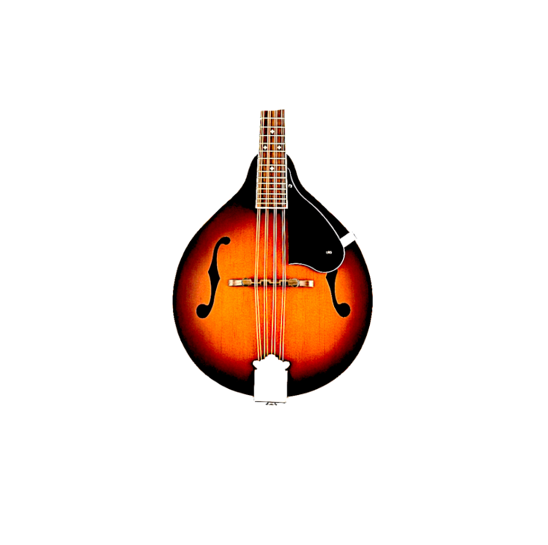 Mandolin