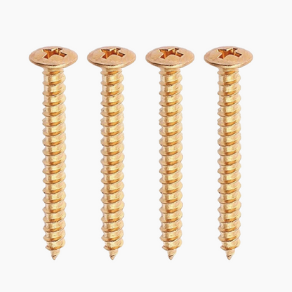 4 gold neckplate screws